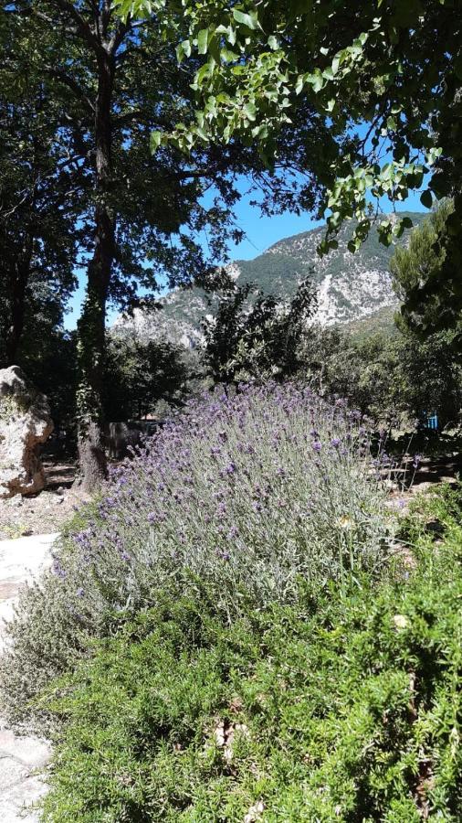 Azienda Agrituristica La Torretta Tocco da Casauria ภายนอก รูปภาพ