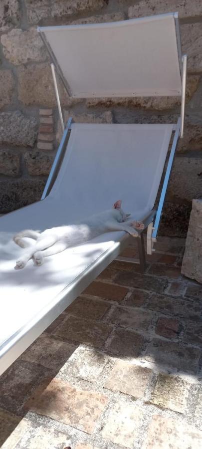 Azienda Agrituristica La Torretta Tocco da Casauria ภายนอก รูปภาพ