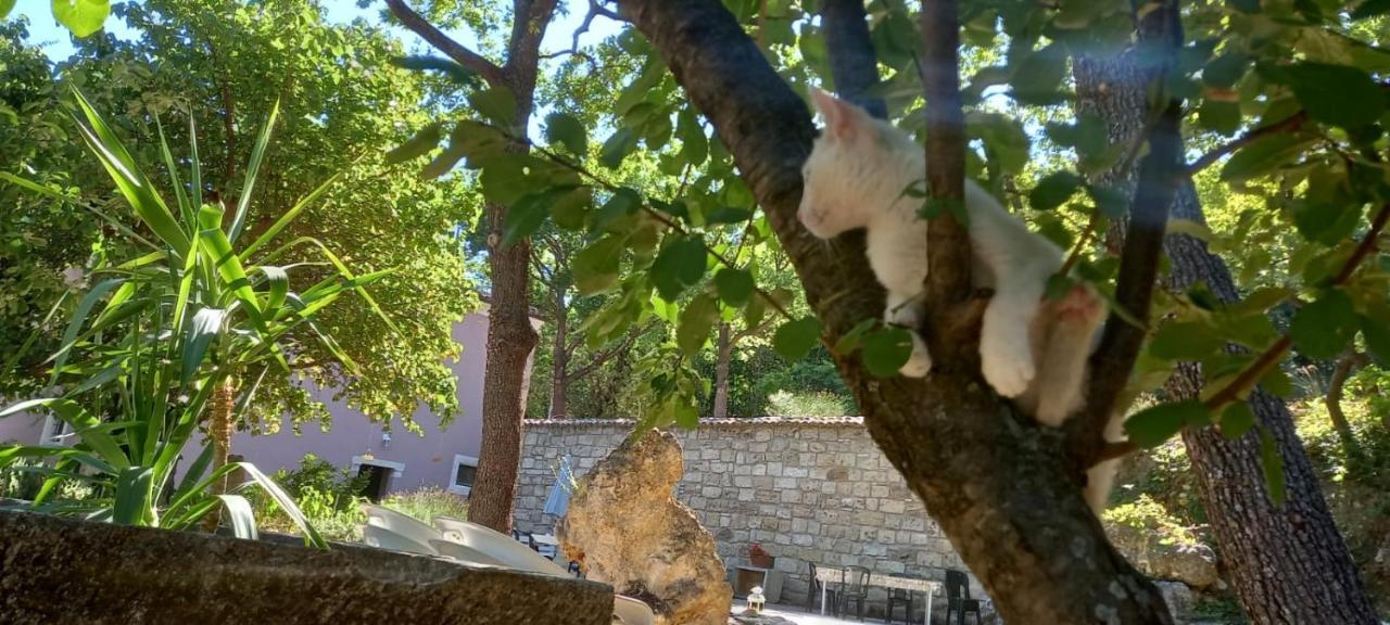 Azienda Agrituristica La Torretta Tocco da Casauria ภายนอก รูปภาพ