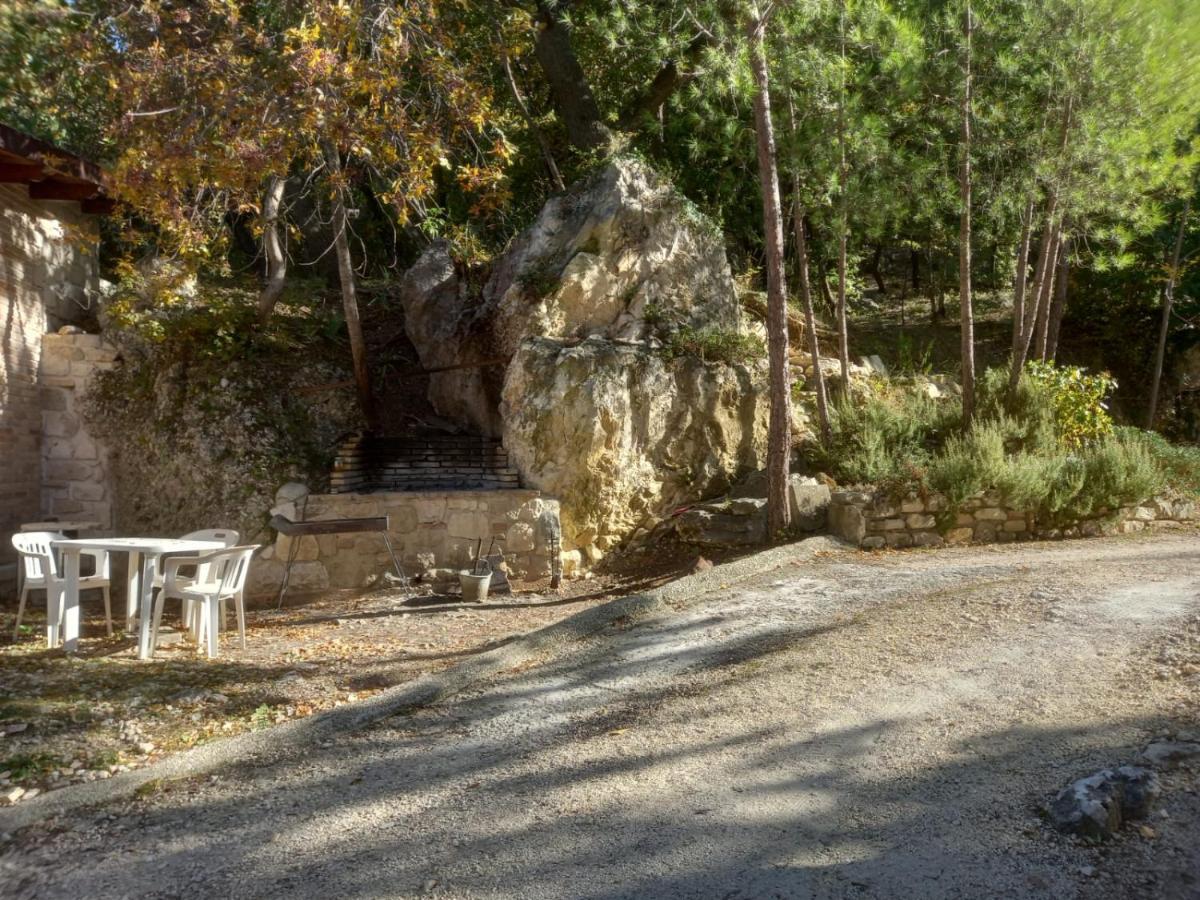 Azienda Agrituristica La Torretta Tocco da Casauria ภายนอก รูปภาพ