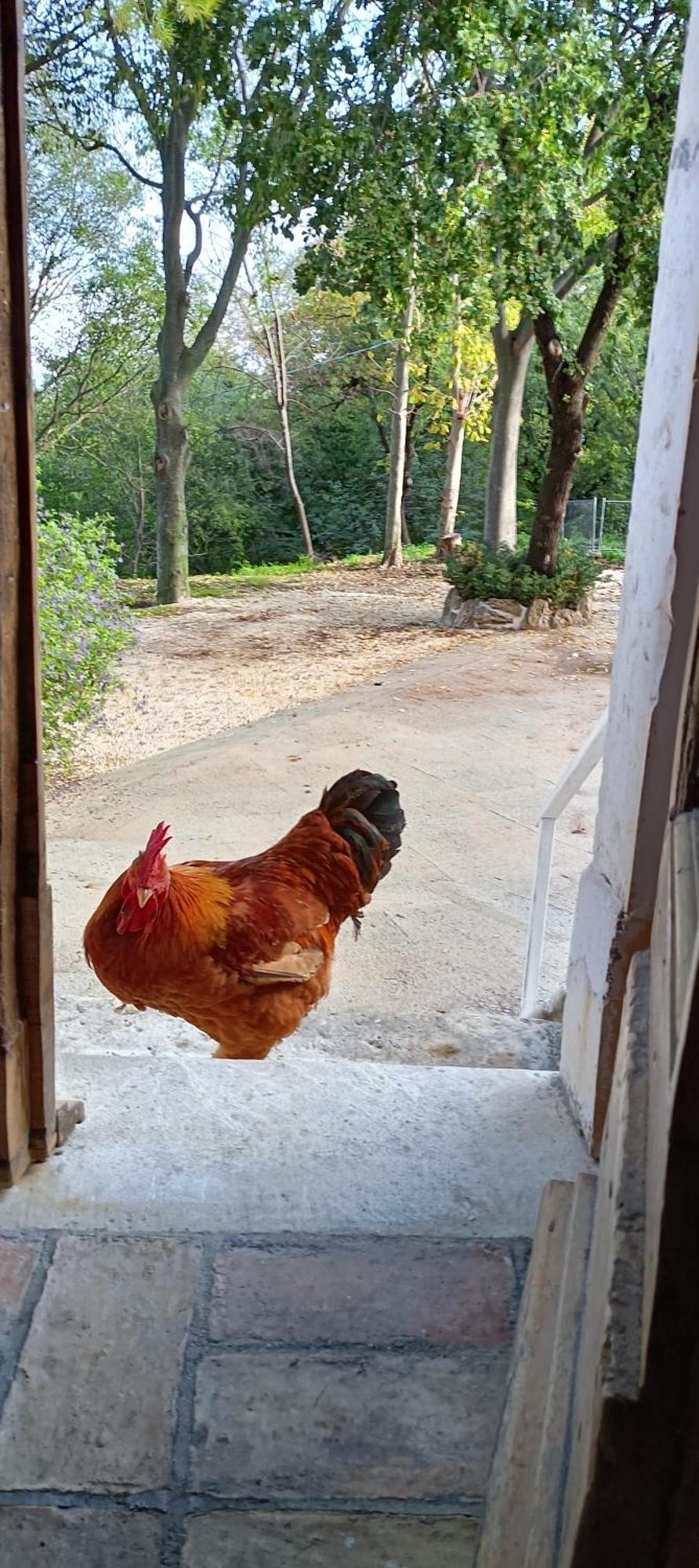 Azienda Agrituristica La Torretta Tocco da Casauria ภายนอก รูปภาพ